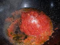 PIZZA ESPECIAL DE ESPINACAS CON QUESO DE CABRA