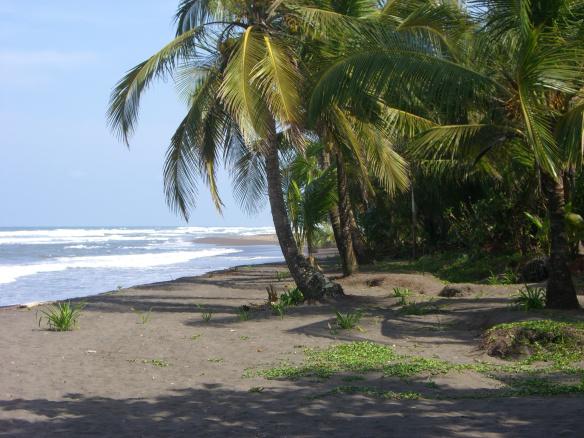 Proyecto Costa Rica: cumpliendo un sueño