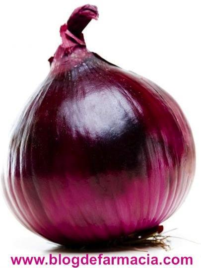 cebolla morada