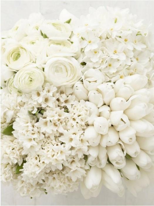 todo tipo de flores en blanco