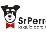 Vida perruna: adónde llevarlos