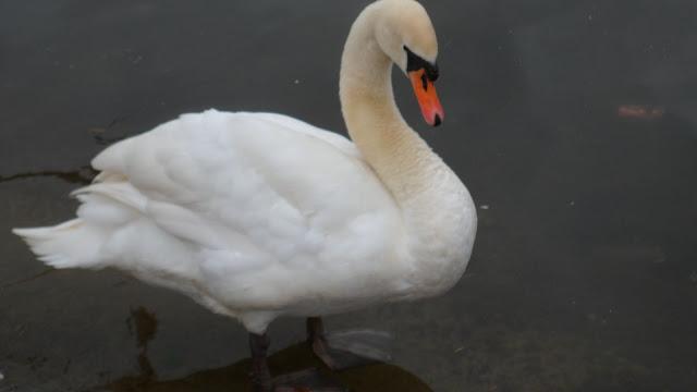 Henley-on-Thames- UK