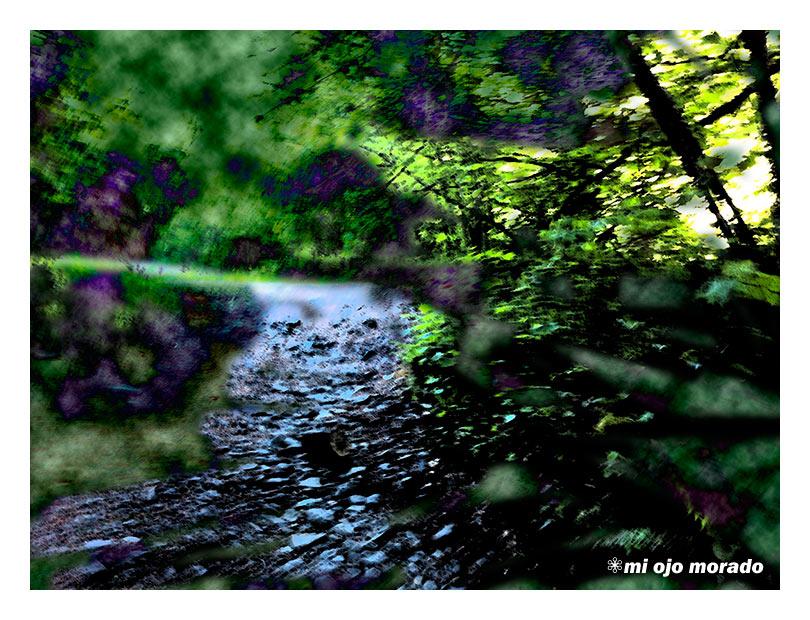 El espíritu del bosque