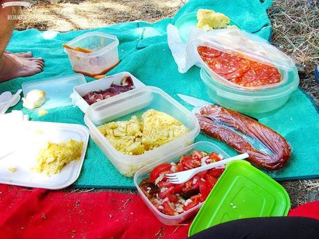 DE PICNIC EN EL EMBALSE DE PICADAS (MADRID)