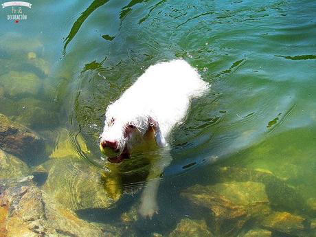 DE PICNIC EN EL EMBALSE DE PICADAS (MADRID)
