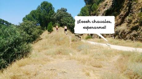 DE PICNIC EN EL EMBALSE DE PICADAS (MADRID)