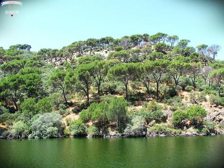 DE PICNIC EN EL EMBALSE DE PICADAS (MADRID)