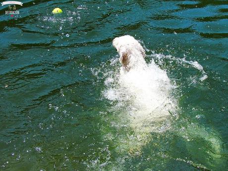 DE PICNIC EN EL EMBALSE DE PICADAS (MADRID)