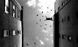 El suicida - J. Watanabe