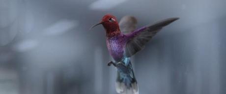 ColourBleed - Peter Szewczyk