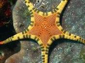 Cada persona pasa nuestra vida &#250;nica. Sie...