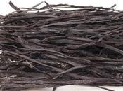 Cualidades medicinales alga espagueti