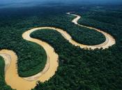S.O.S. Amazonía