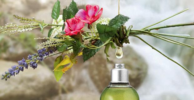 loccitane4 Ambientadores con Aceites Esenciales   Perfuma tu Hogar Naturalmente
