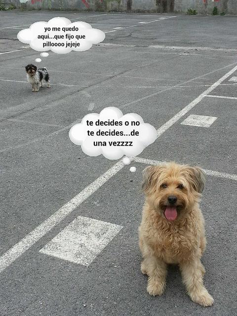 estamos tan agustito