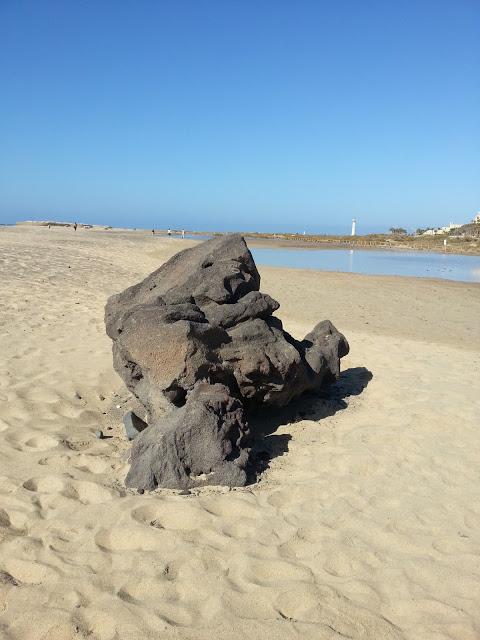 FUERTEVENTURA Y VACACIONES