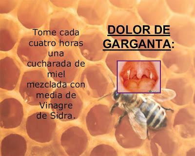 La miel de abejas
