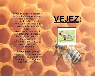 La miel de abejas