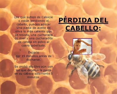 La miel de abejas