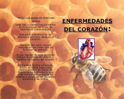 La miel de abejas