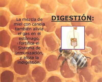 La miel de abejas