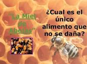 miel abejas