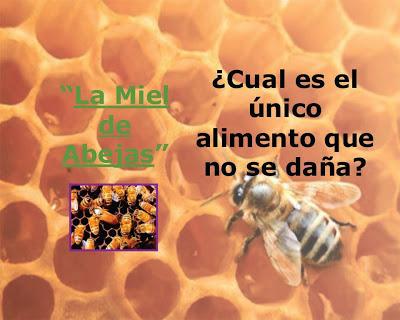La miel de abejas