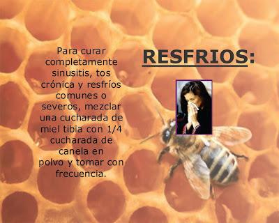 La miel de abejas