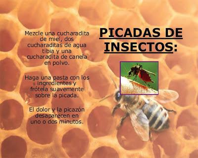 La miel de abejas