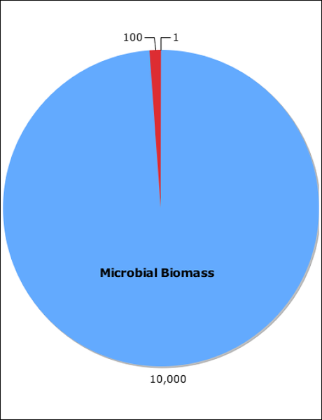 Especies dominantes en una comunidad biológica