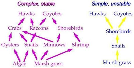 Especies clave en una comunidad biológica Especies clave en una comunidad biológica