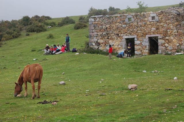 Ruta: Hayedo de la Biescona a la Majada del Bustacu