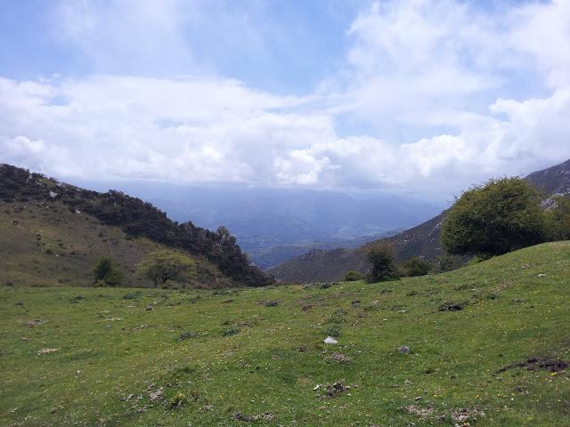 Ruta: Hayedo de la Biescona a la Majada del Bustacu