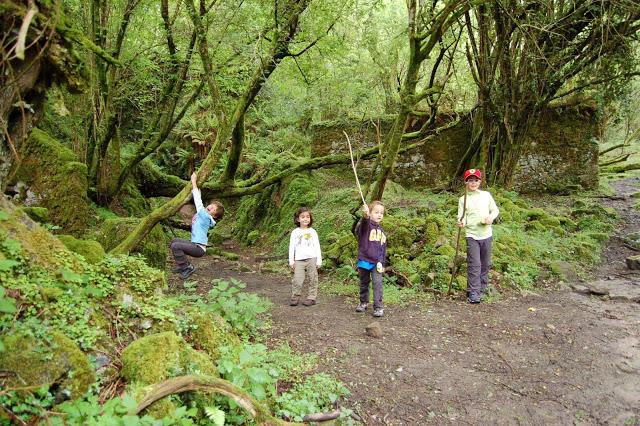 Ruta: Hayedo de la Biescona a la Majada del Bustacu