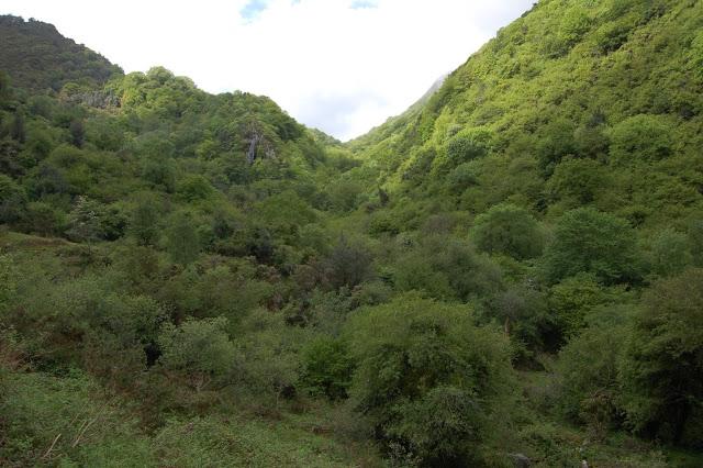 Ruta: Hayedo de la Biescona a la Majada del Bustacu