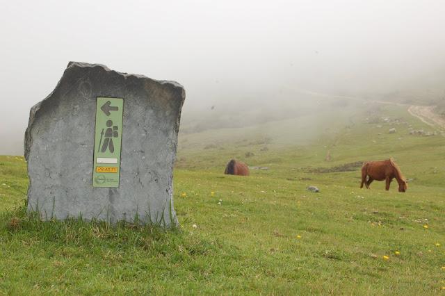 Ruta: Hayedo de la Biescona a la Majada del Bustacu