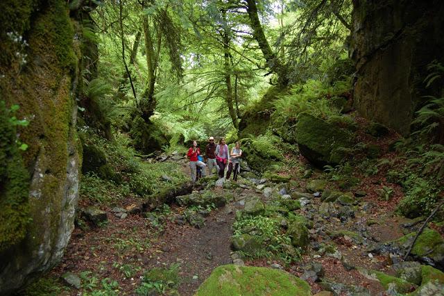 Ruta: Hayedo de la Biescona a la Majada del Bustacu