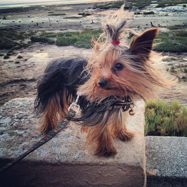 Recap Of The Week XLVI