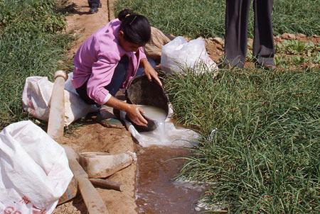 Equilibrio de los factores abióticos Equilibrio de los factores abióticos
