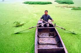 Equilibrio de los factores abióticos Equilibrio de los factores abióticos