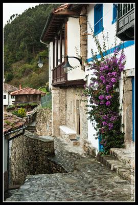 Tazones (Asturias)