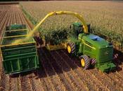 Variación productividad ecosistema