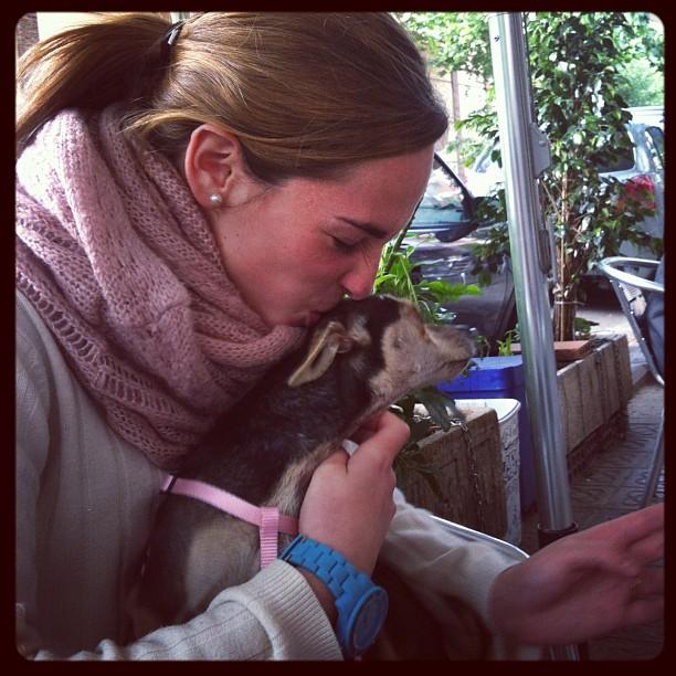 telma El vínculo afectivo entre personas y animales de compañía (perros y/o gatos)  