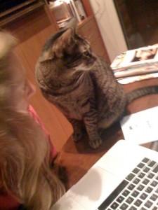 leo 225x300 El vínculo afectivo entre personas y animales de compañía (perros y/o gatos)  