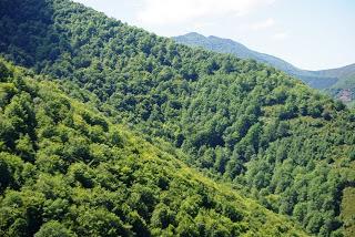 Cangas del Narcea: una villa entre dos ríos