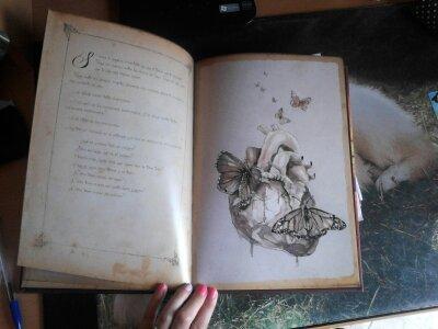 Reseñas (84): Los manuscritos de Heart Mountain