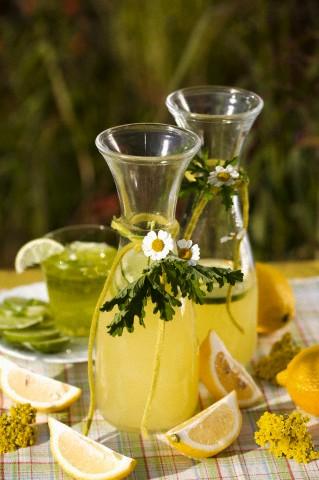 Encuentros de verano