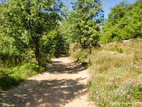 Pueblos Arquitectura Negra de Guadalajara - Chorrera Despeñalagua