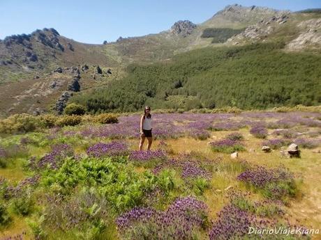 Pueblos Arquitectura Negra de Guadalajara - Chorrera Despeñalagua