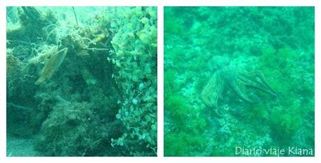 Pueblos Arquitectura Negra de Guadalajara - Chorrera Despeñalagua